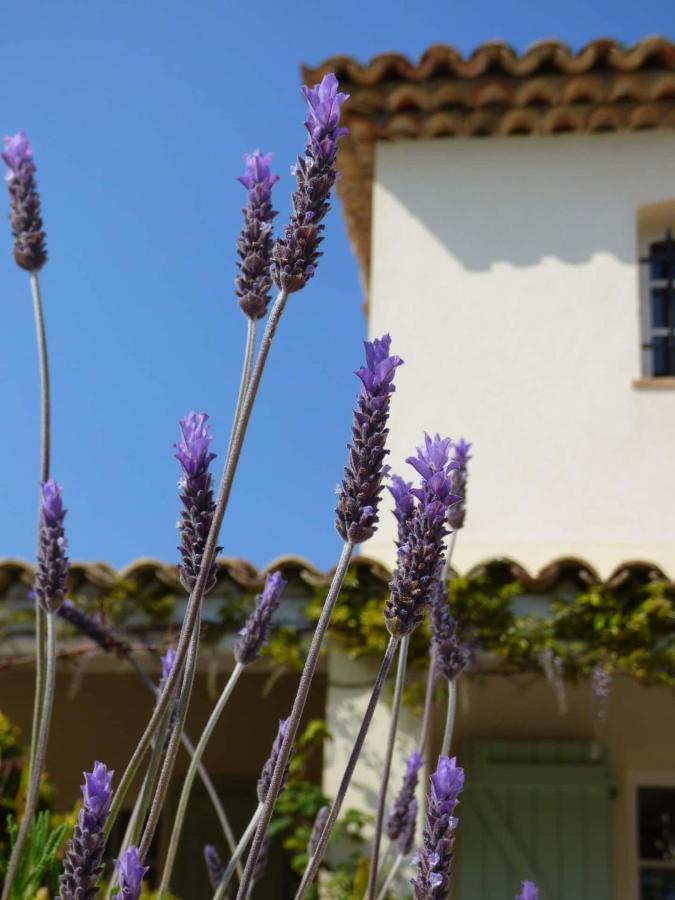 Azurea Bed and Breakfast Valbonne Buitenkant foto